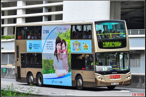 九巴66P線 .